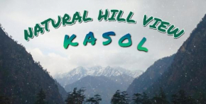 Natural Hill View Kasol